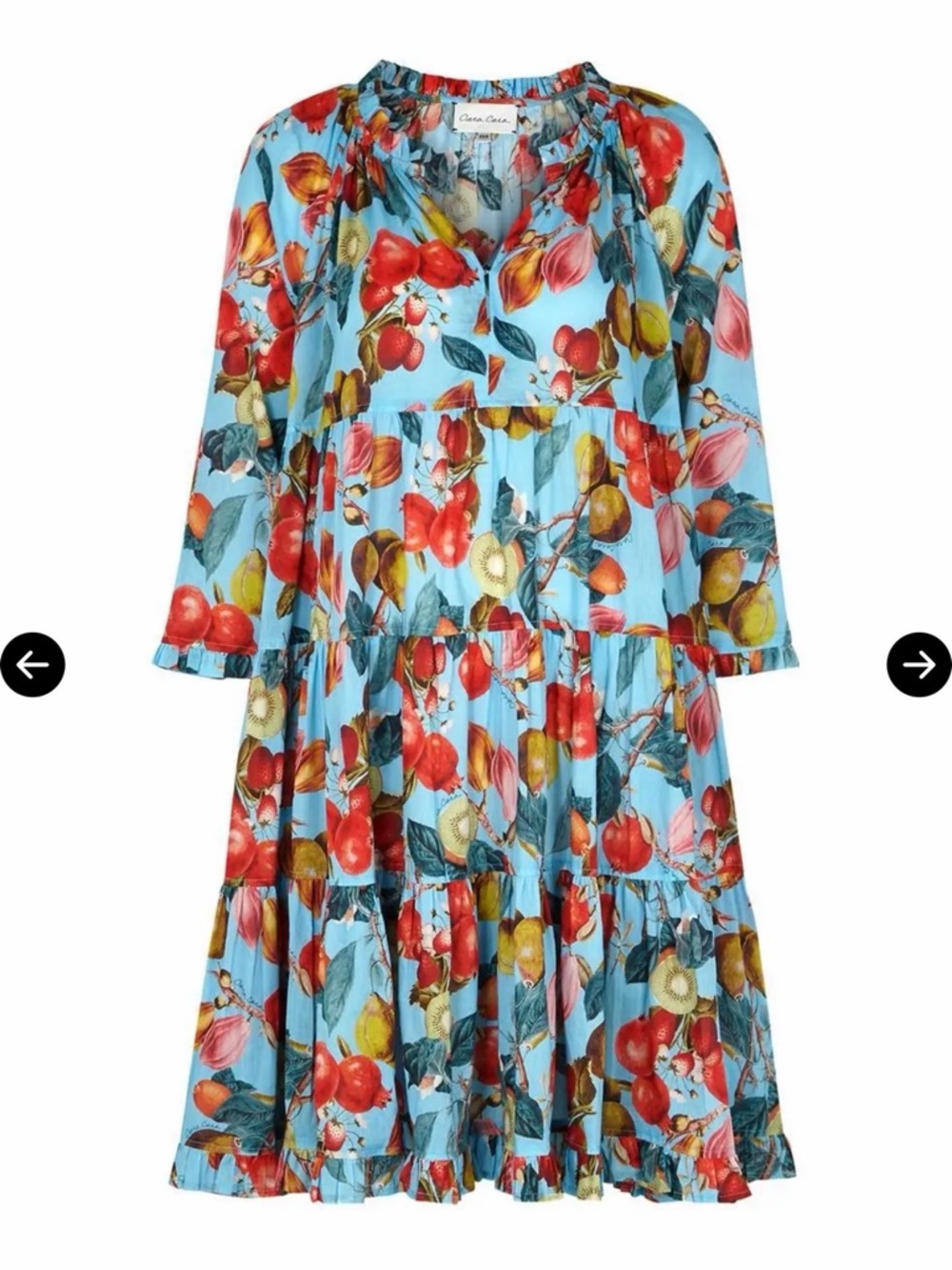 Cara Cara gibson dress - fruit blue Size XS/S
$395
color: fruit blue - Picture 10 of 16